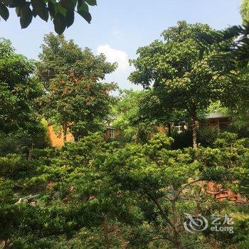 广州锦园温泉度假小木屋酒店酒店提供图片