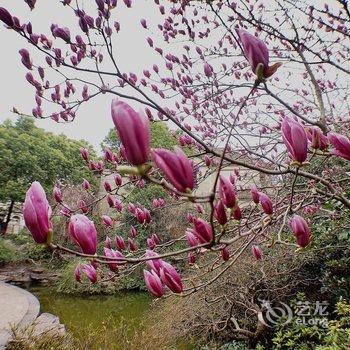 沪家雅舍阔景平墅(上海虹桥国家会展中心徐泾店)酒店提供图片