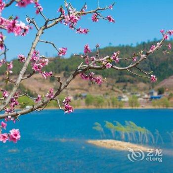 米易中悦半岛度假中心酒店提供图片