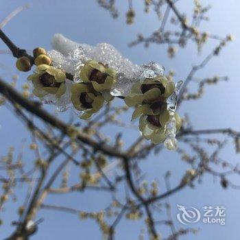 安吉竹中驿民宿酒店提供图片