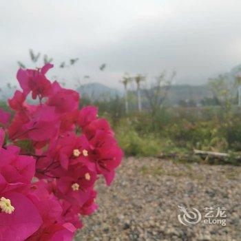 Q+武夷山博美驿站酒店提供图片