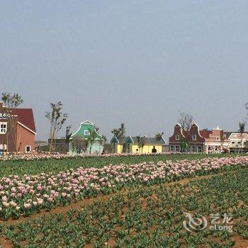 洛阳豪泽郁金香花海温泉度假酒店用户上传图片