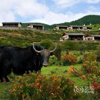 香格里拉仁安悦榕庄酒店提供图片