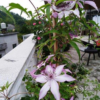 天台乐兴花居农家乐酒店提供图片