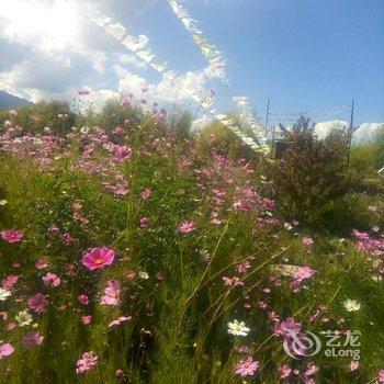 泸沽湖湖滨苑客栈酒店提供图片