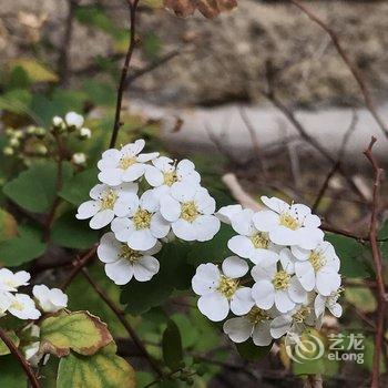 金门水头水调歌头民宿酒店提供图片