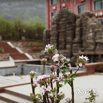 林州太行山云泉度假村酒店提供图片