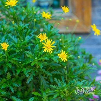 花语岸度假民宿(丽江风情店)酒店提供图片