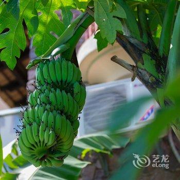 景洪新澜竹别墅大酒店酒店提供图片