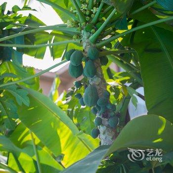 景洪新澜竹别墅大酒店酒店提供图片