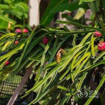 景洪新澜竹别墅大酒店酒店提供图片