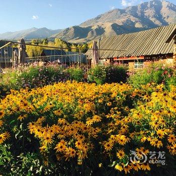 布尔津禾木桃源山庄酒店提供图片