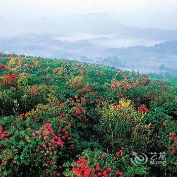 毕节洪山国际大酒店酒店提供图片