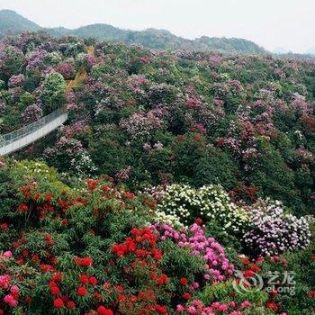 毕节洪山国际大酒店酒店提供图片