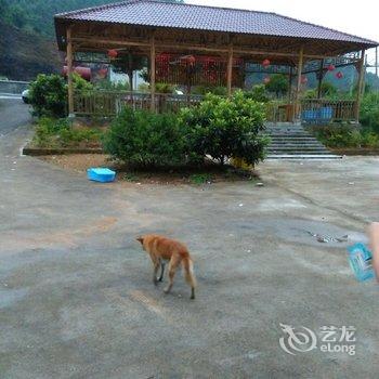 千岛湖缪家农庄旅馆酒店提供图片