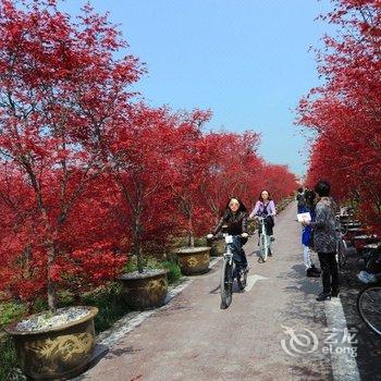 成都费尔顿凯莱大酒店酒店提供图片