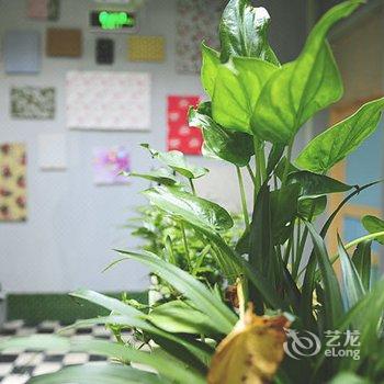 阳朔时光客栈酒店提供图片