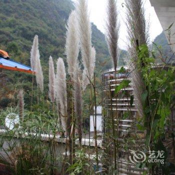 阳朔橙风尚酒店酒店提供图片