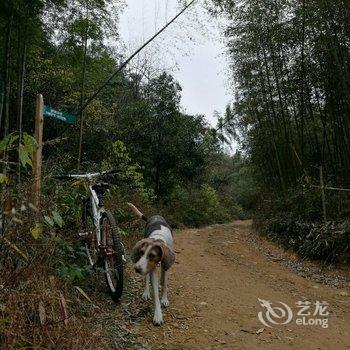 莫干山尉家小院酒店提供图片