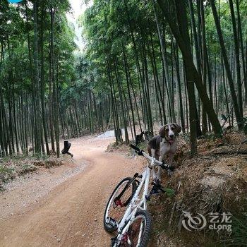 莫干山尉家小院酒店提供图片