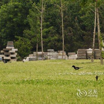 烟台东山宾馆酒店提供图片