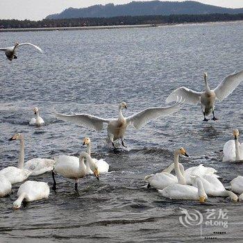 荣成宏鑫旅馆(威海荣成天鹅湖店)酒店提供图片