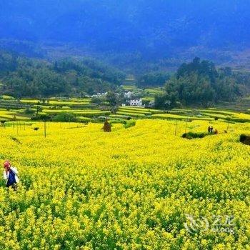 婺源温馨阁民宿酒店提供图片