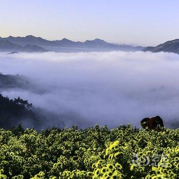 歙县云来山庄酒店提供图片