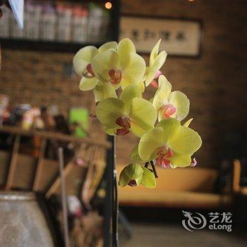 平潭咔溜岚岛国际青年旅舍酒店提供图片