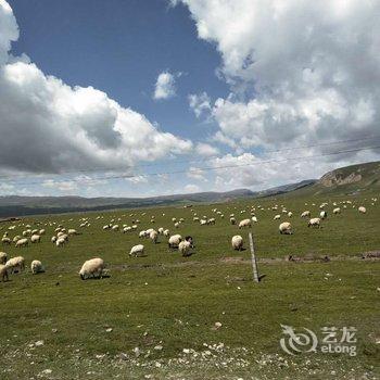 黑马河九号大本营露营基地酒店提供图片