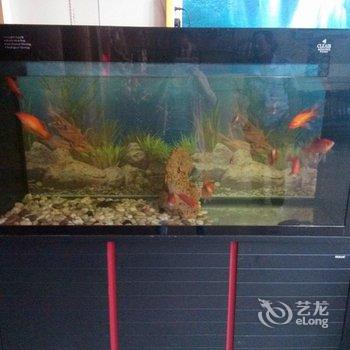 兴城渔港宾馆酒店提供图片