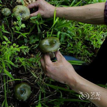 丽江千里走单骑·雪山庄园酒店提供图片