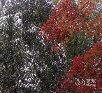 莫干山凤祥山庄酒店提供图片