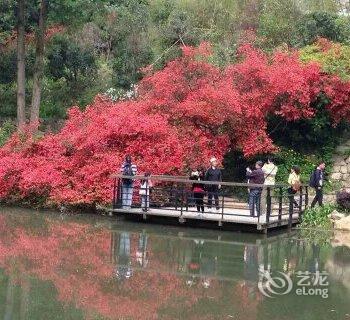 莫干山凤祥山庄酒店提供图片