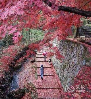 莫干山凤祥山庄酒店提供图片