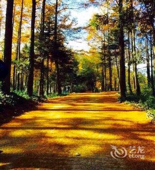 莫干山凤祥山庄酒店提供图片