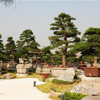 西安唐苑花园酒店(近芙蓉园)酒店提供图片