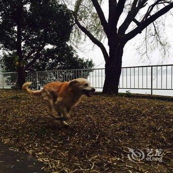 武汉蜃楼国际青年旅舍酒店提供图片