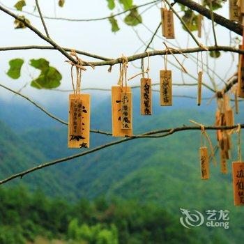 桐庐厚院村舍精品民宿酒店提供图片