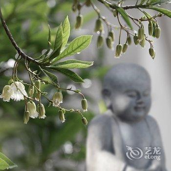 安溪悦泉行馆酒店提供图片