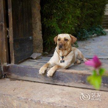 丽江丽锦度假酒店雪山语店酒店提供图片