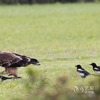 金门北山古洋楼背包客栈酒店提供图片