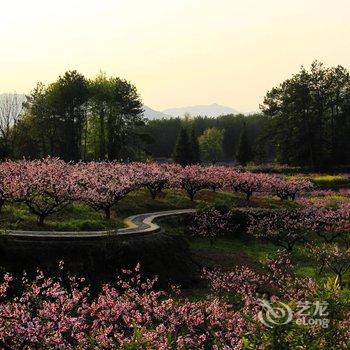 黄山黟县五里蟠桃山庄酒店提供图片