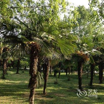 阜阳国贸大酒店酒店提供图片