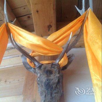 碌曲县噶麒宾馆酒店提供图片