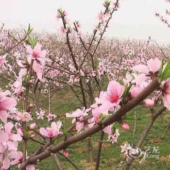 绥中东戴河李家大院酒店提供图片