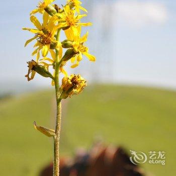 丰宁坝上孤石阳光山谷度假村酒店提供图片