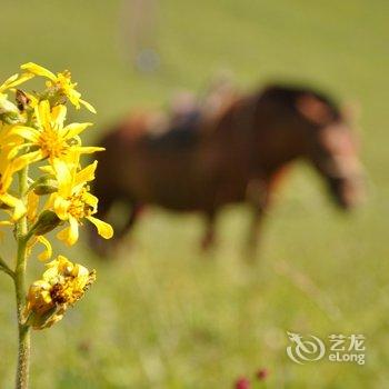 丰宁坝上孤石阳光山谷度假村酒店提供图片