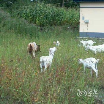 长白山长胜生态度假村酒店提供图片