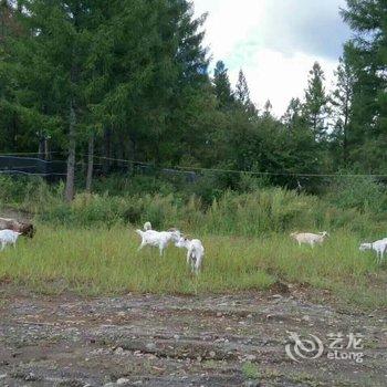 长白山长胜生态度假村酒店提供图片